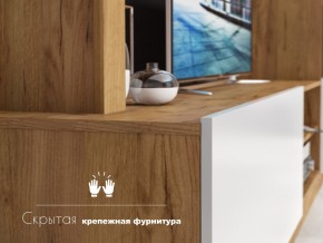 Гостиная Флекс в Симе - sim.mebel74.com | фото 4