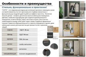 Прихожая Санти Белый/Дуб Крафт Золотой в Симе - sim.mebel74.com | фото 3