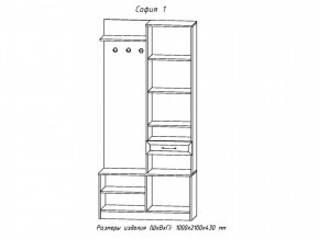 Прихожая София 1 в Симе - sim.mebel74.com | фото 2