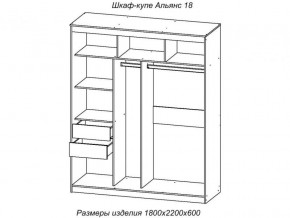 Шкаф-купе Альянс 18 комплект зеркал №4 в Симе - sim.mebel74.com | фото 2