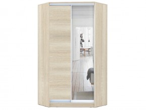 Шкаф-купе Хит-У-24-4-15 в Симе - sim.mebel74.com | фото 1