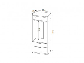 Шкаф с 2-мя ящиками ЛДСП Фаворит в Симе - sim.mebel74.com | фото 2