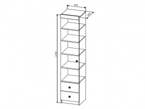 Шкаф Сканди ШД450.1 в Симе - sim.mebel74.com | фото 2