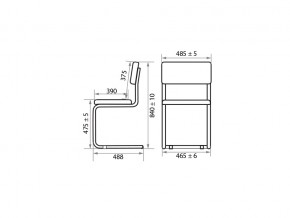 Стул Sylwia chrome Z11 в Симе - sim.mebel74.com | фото 2