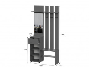 Вешалка с зеркалом Денвер Графит серый в Симе - sim.mebel74.com | фото 2